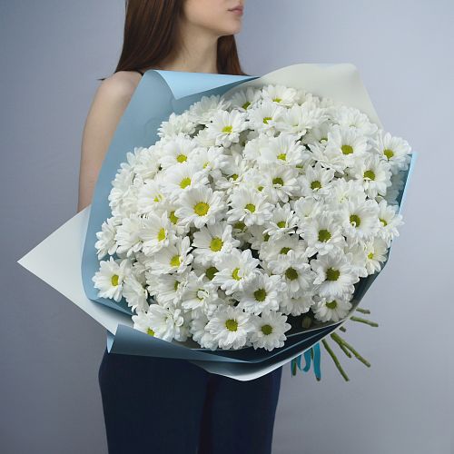 Букет із 15 білих Хризантем